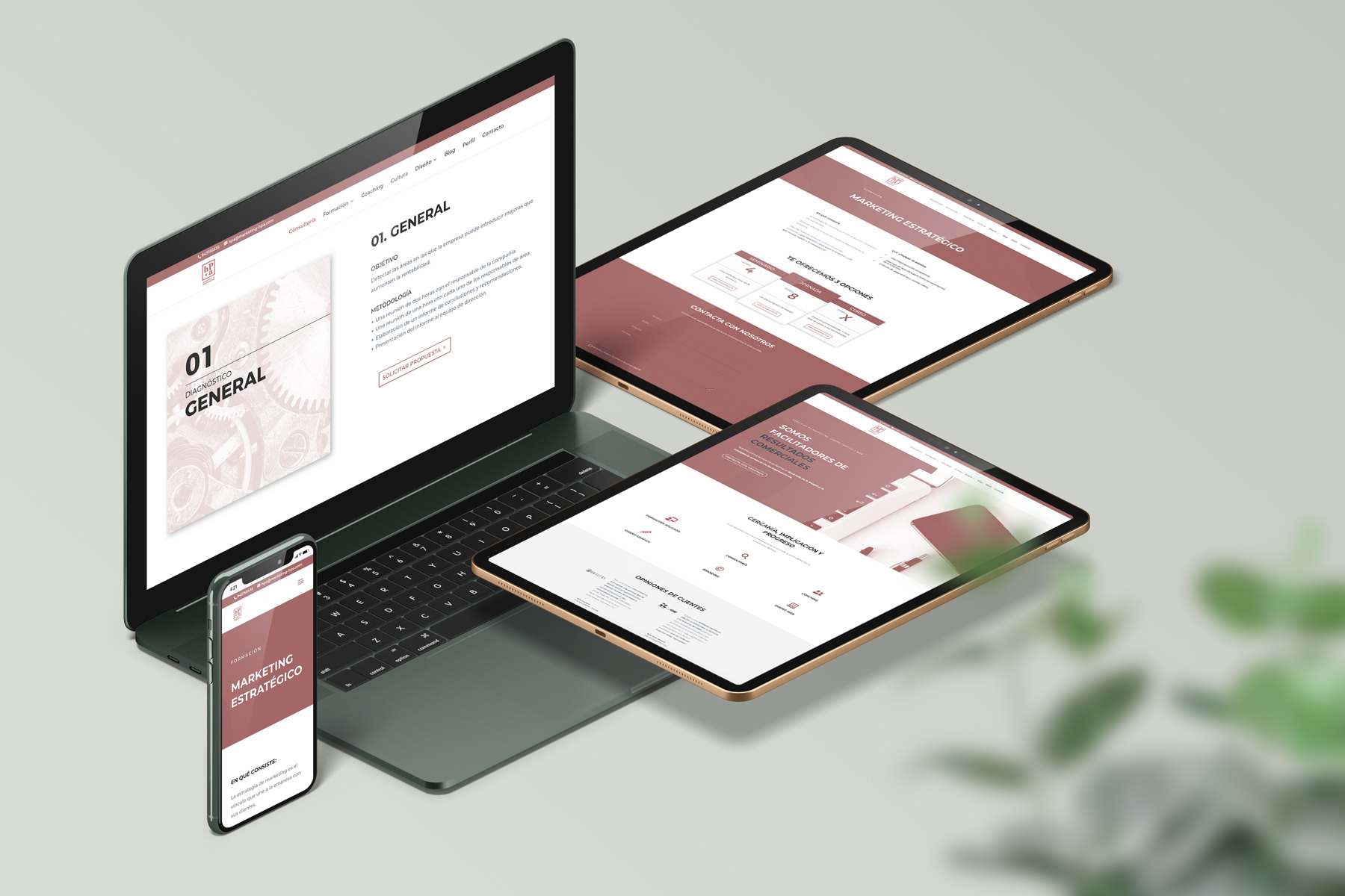 mairojairo diseño gráfico y web mockup web