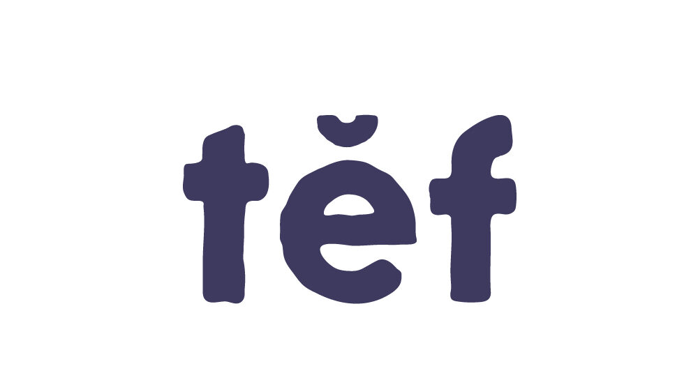 mairojairo diseño gráfico y web logos tef 1