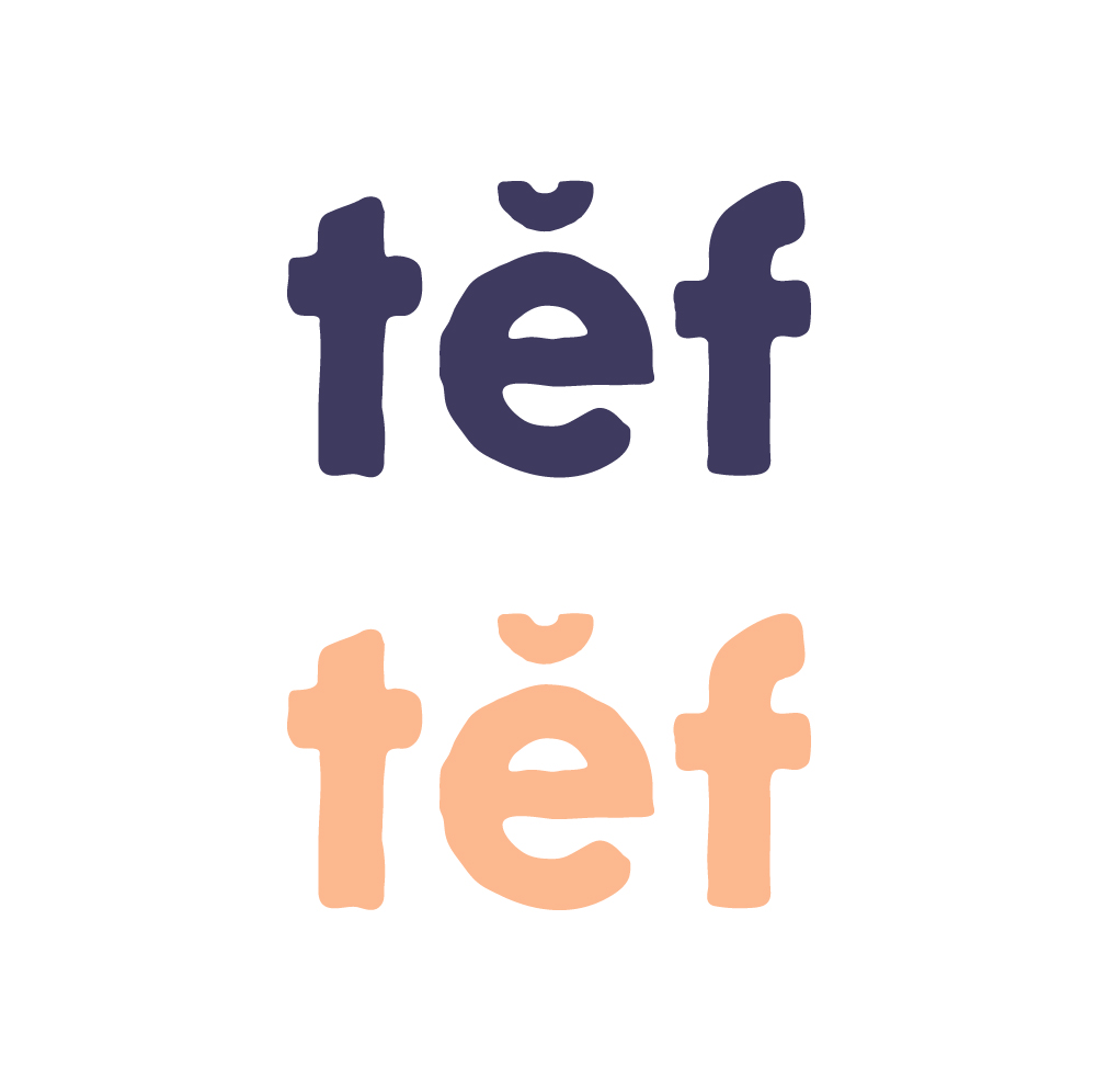 mairojairo diseño gráfico y web logos tef 1