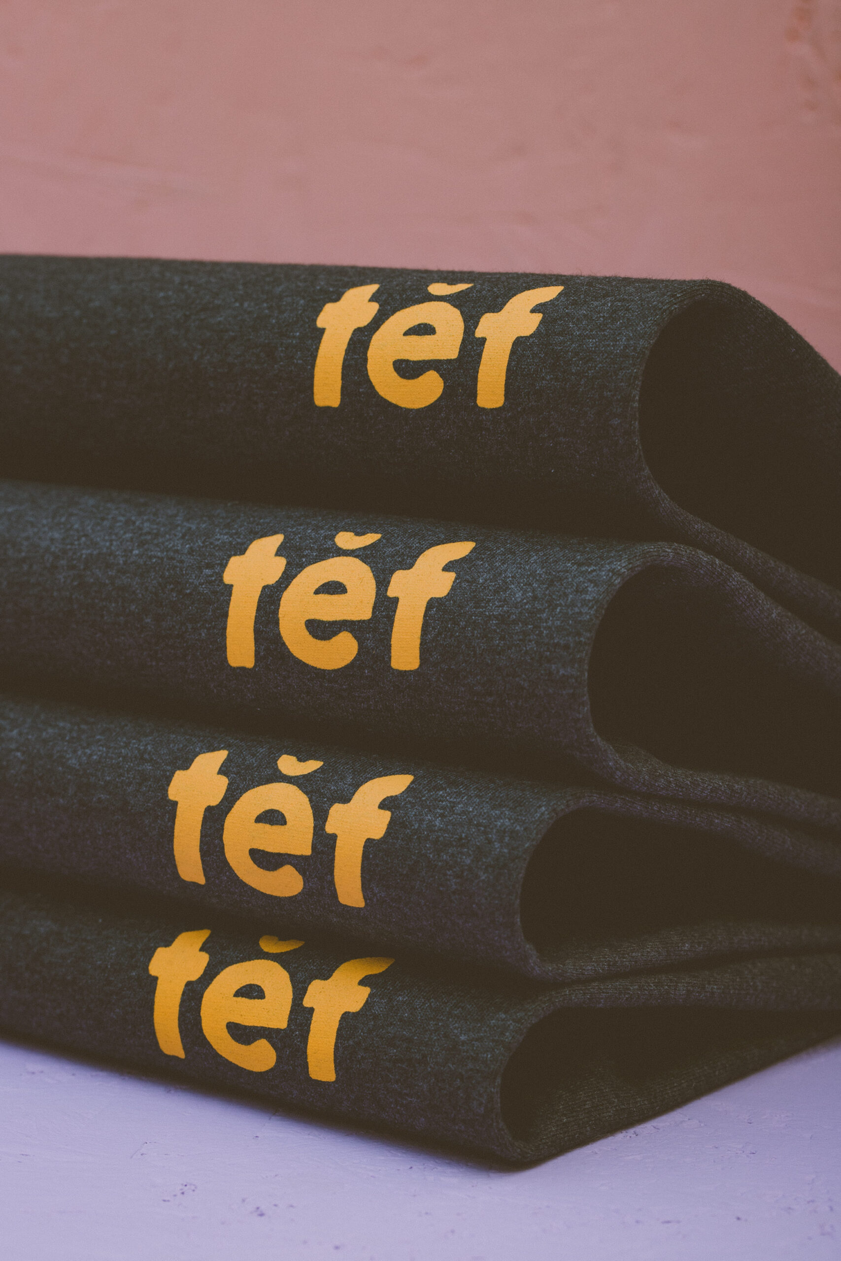 mairojairo diseño gráfico y web diseño logotipo y web tef 6